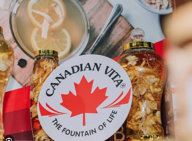Vietnamese Canadian ginseng processing firm benefits from CPTPP